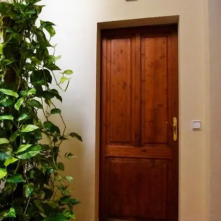 Apartment Palmer *